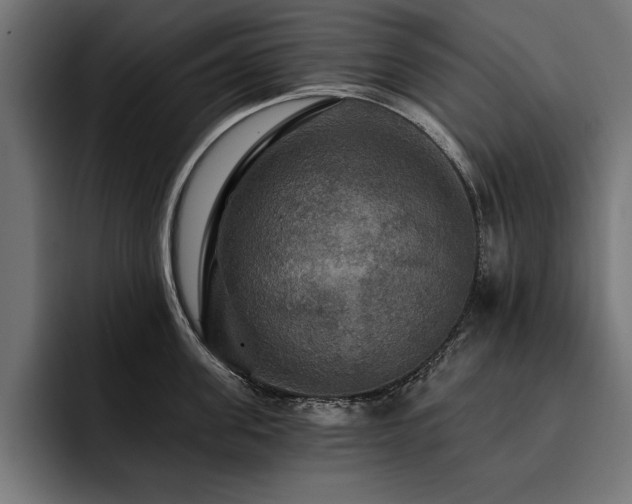 X0000093400955200710121056