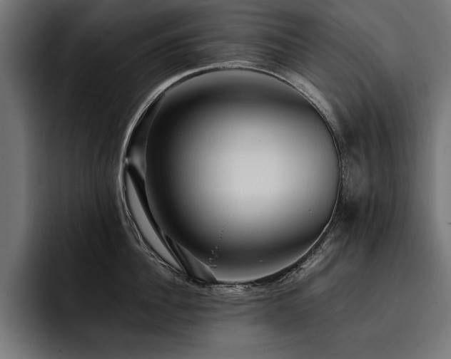 X0000093400956200710121056