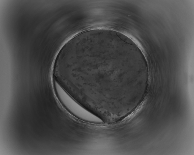 X0000093400957200710121056