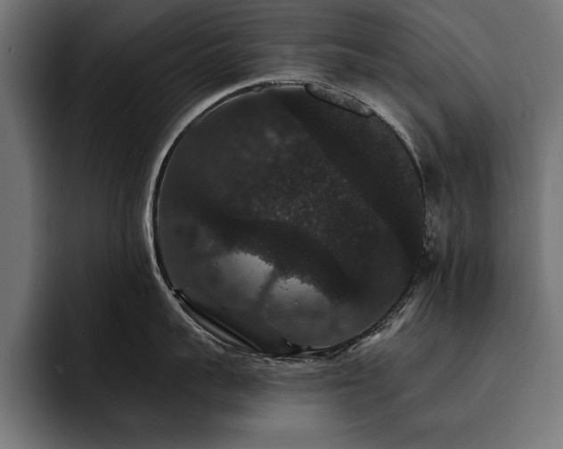X0000093400959200710121056