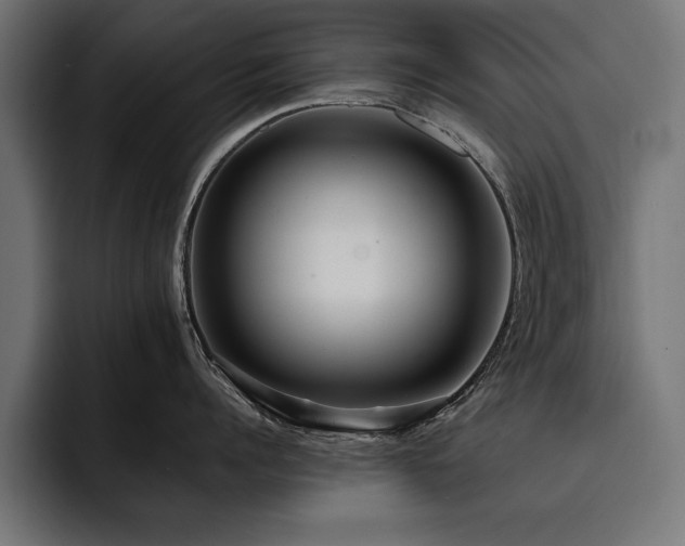 X0000093400960200710121056