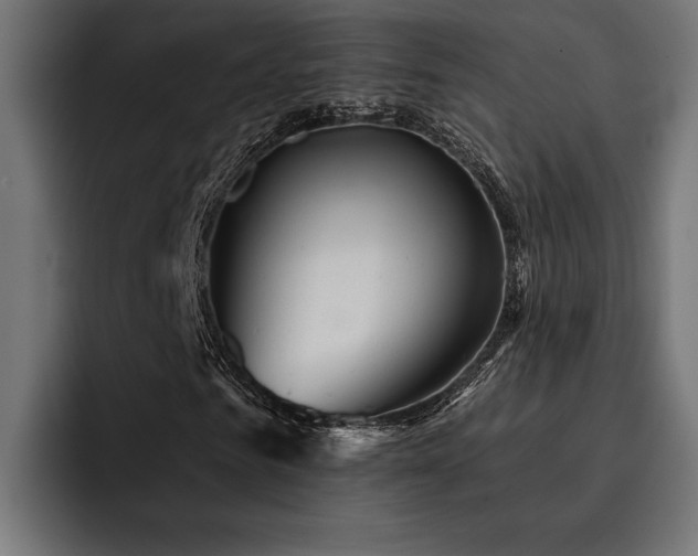 X0000093400961200710121056