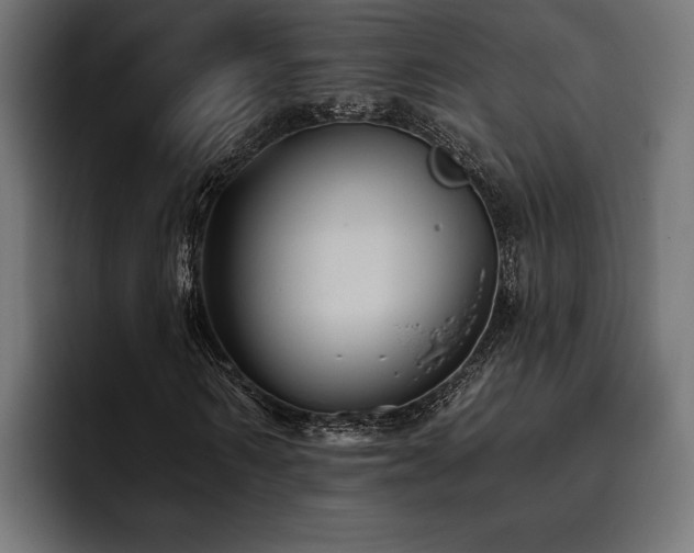 X0000093400962200710121056