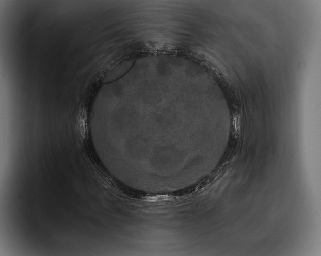 X0000093400963200710121056