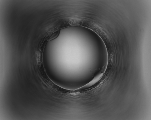 X0000093400964200710121056