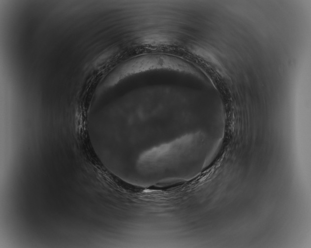 X0000093400966200710121056