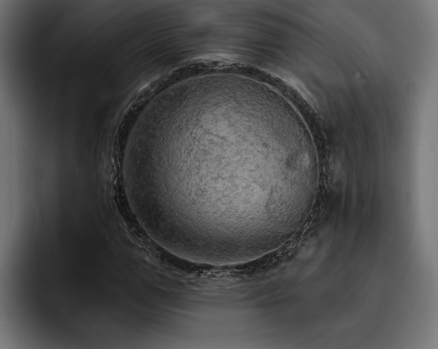 X0000093400967200710121056