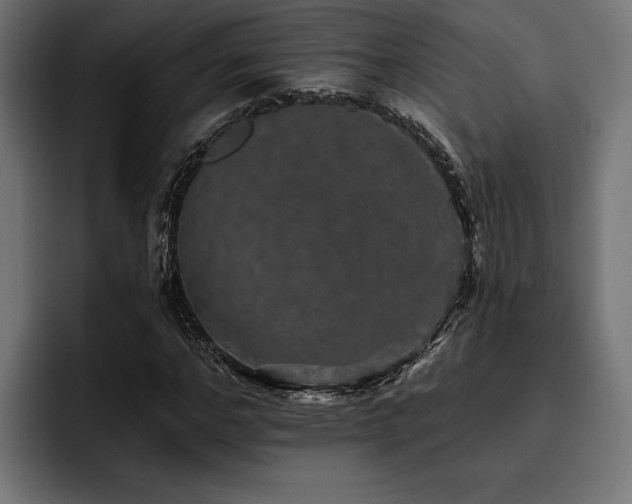 X0000093400968200710121056