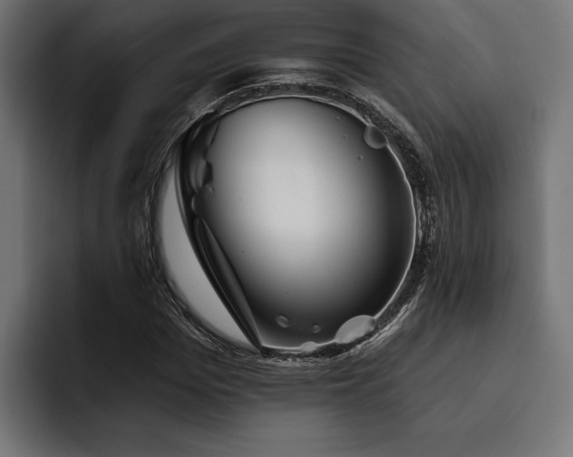 X0000093400969200710121056