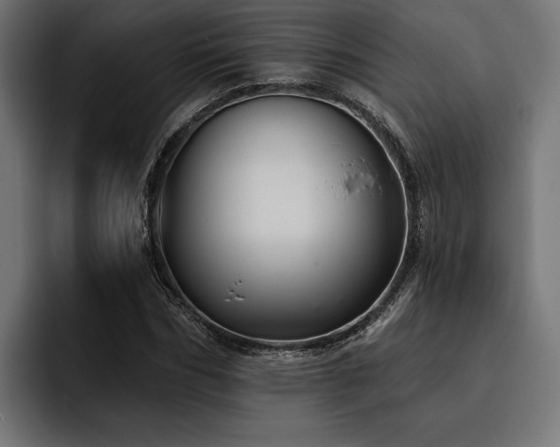 X0000093400970200710121056