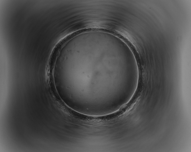 X0000093400971200710121056