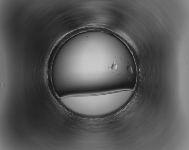 X0000093400972200710121056