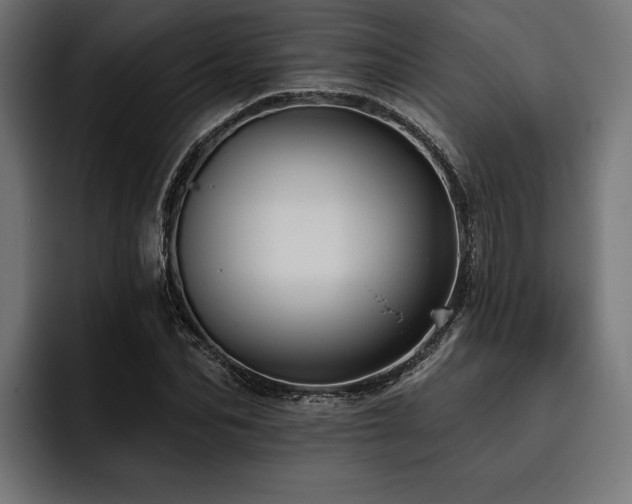 X0000093400974200710121056