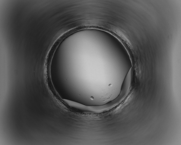 X0000093400976200710121056