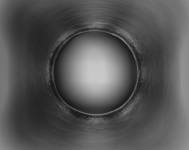 X0000093400978200710121056
