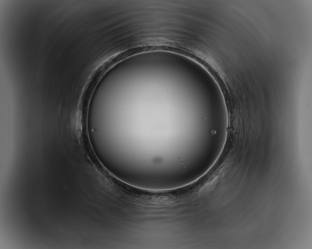 X0000093400979200710121056