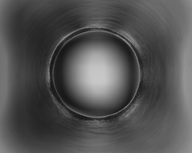 X0000093400980200710121056