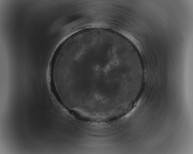 X0000093400983200710121056