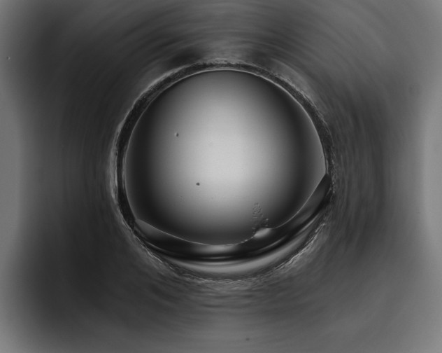 X0000093400984200710121055