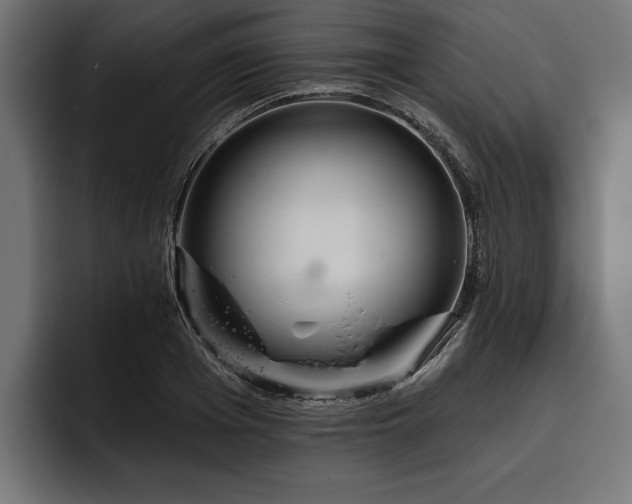 X0000093400985200710121055
