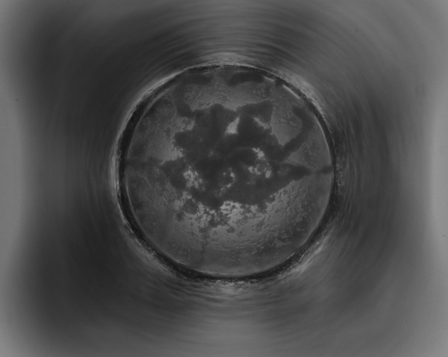 X0000093400987200710121055