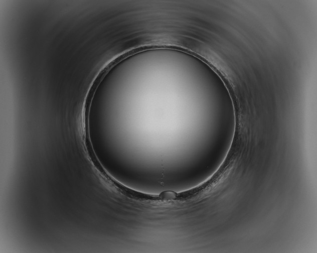 X0000093400988200710121055