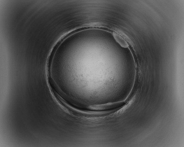 X0000093400989200710121055