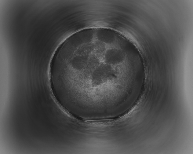 X0000093400990200710121055
