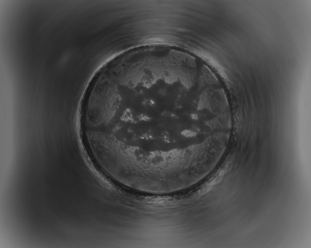 X0000093400991200710121055