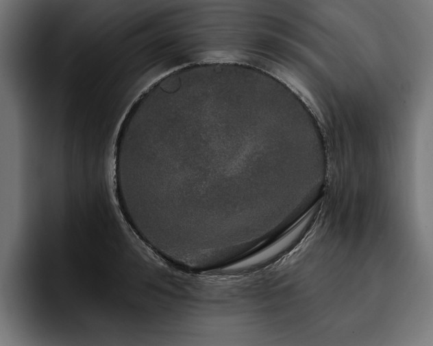 X0000093400992200710121055