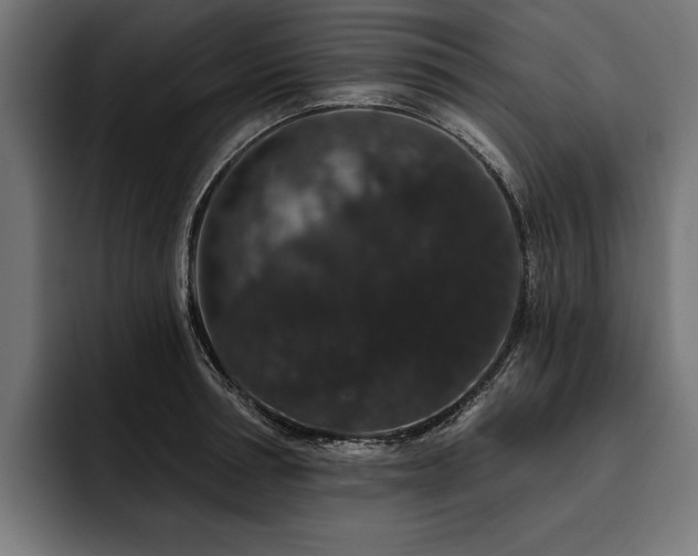 X0000093400994200710121055