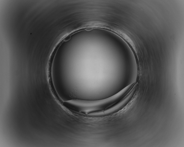 X0000093400997200710121055