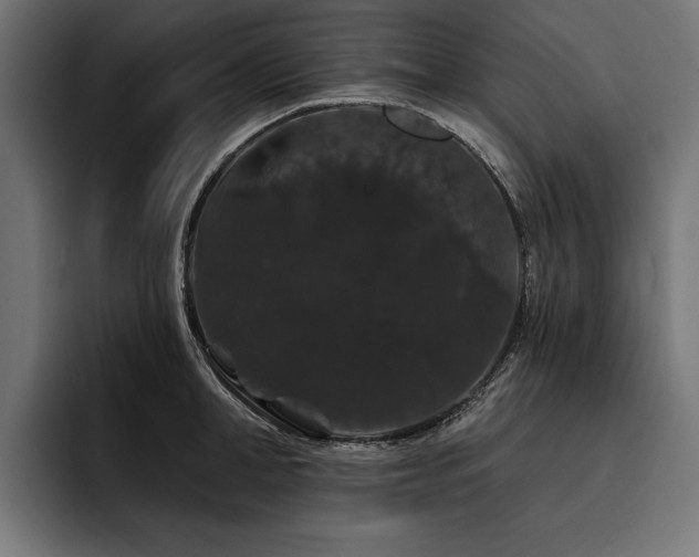 X0000093400998200710121055