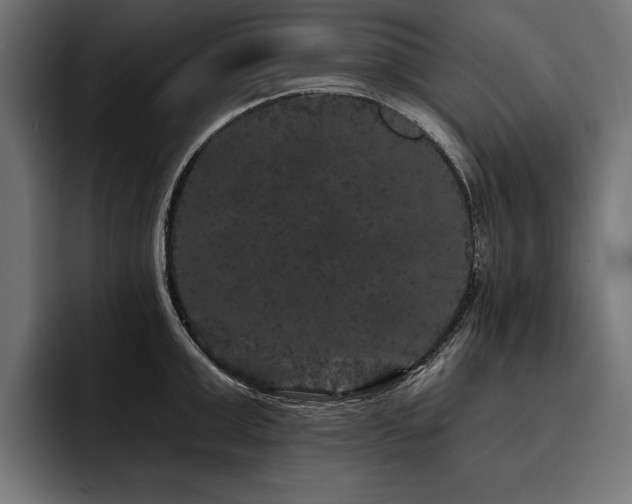X0000093400999200710121055