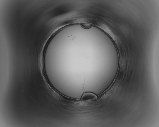 X0000093401000200710121055