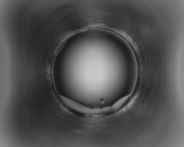X0000093401001200710121055