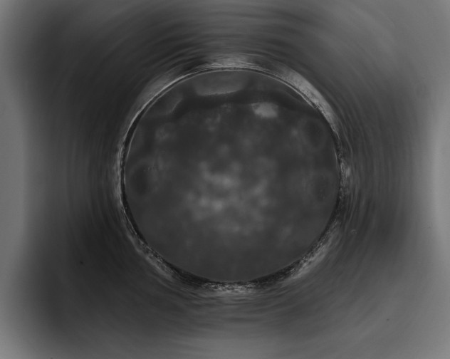 X0000093401002200710121055