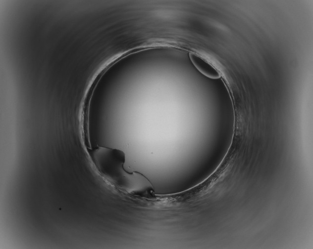 X0000093401003200710121055