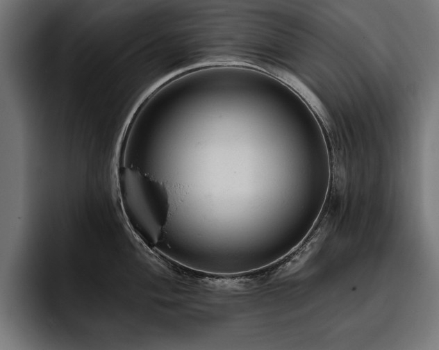 X0000093401004200710121055