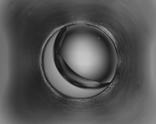 X0000093401005200710121055