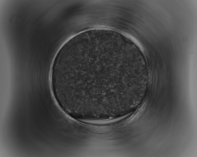 X0000093401007200710121055