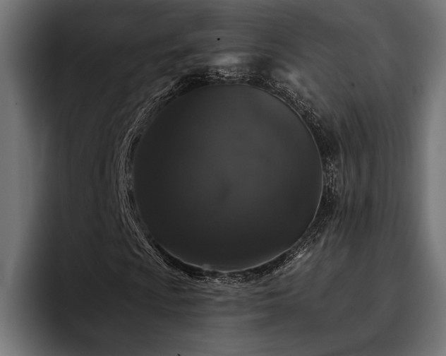 X0000093401009200710121054