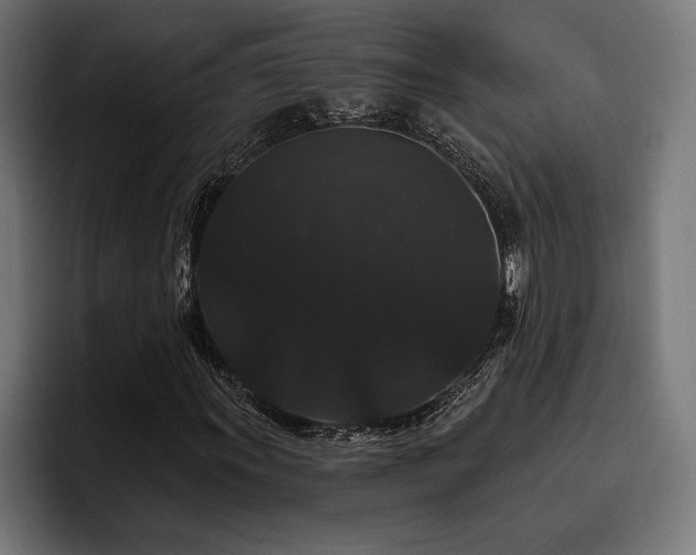 X0000093401011200710121055