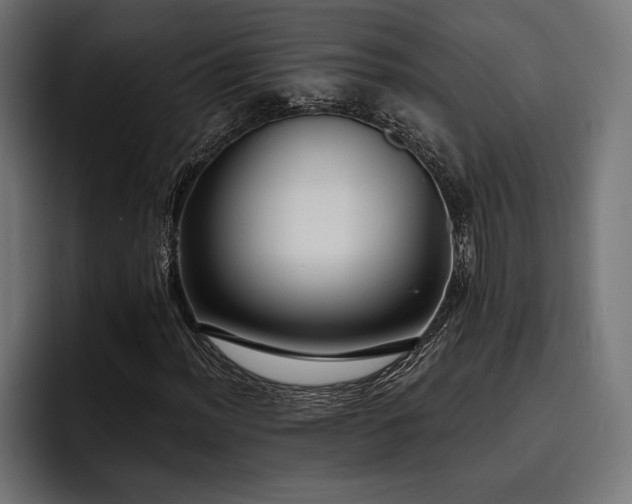 X0000093401012200710121055