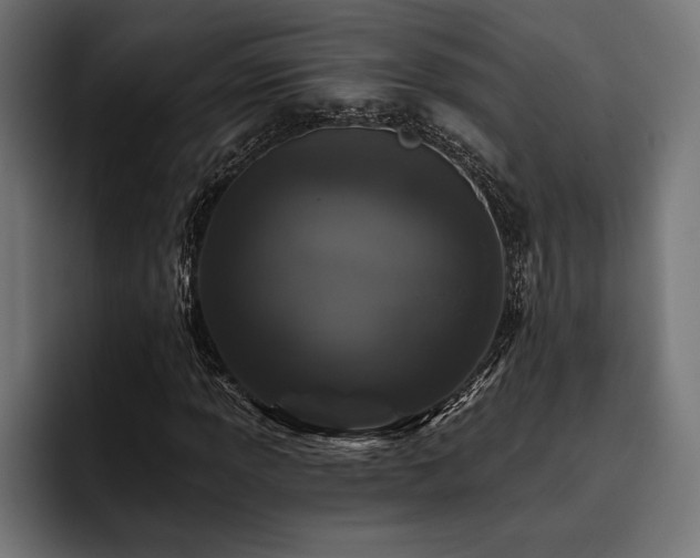 X0000093401013200710121055