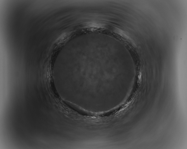 X0000093401014200710121055