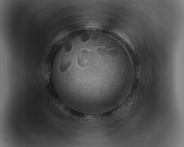 X0000093401015200710121055