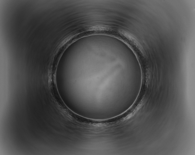 X0000093401017200710121055