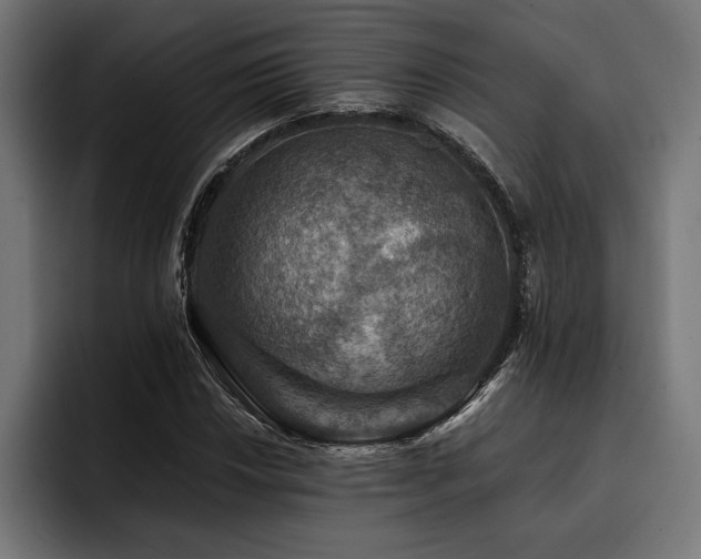 X0000093401018200710121055