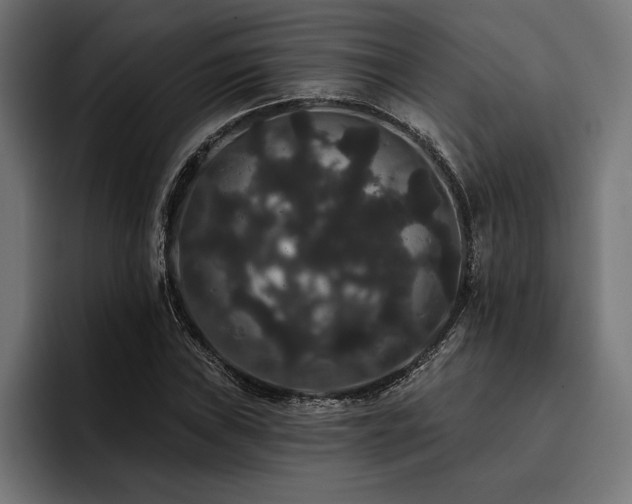 X0000093401019200710121055